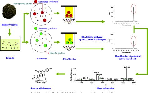 Figure 1 From An Ultrafiltration High Performance Liquid Chromatography