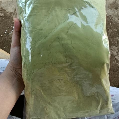 Serbuk Daun Belimbing Wuluh Kering Hijau 500gram Lazada Indonesia