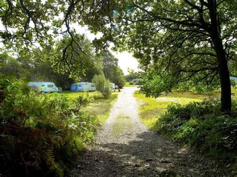 Holmsley Campsite, Christchurch