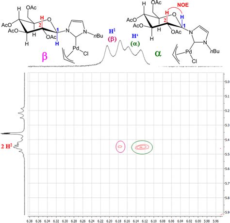 Relevant Part Of The NOESY Spectrum Of The Complex 3b T 298 K CDCl3