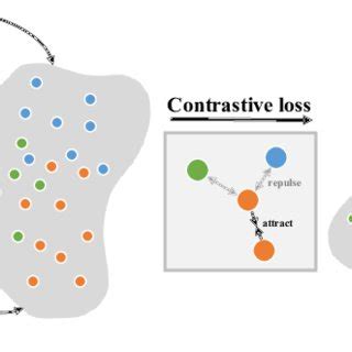 The Main Idea Of Pixel Contrastive Loss Is To Extract Embeddings Of