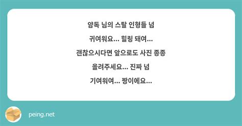 얌독 님의 스탈 인형들 넘 귀여워요 힐링 돼여 괜찮으시다면 앞으로도 사진 종종 Peing 質問箱