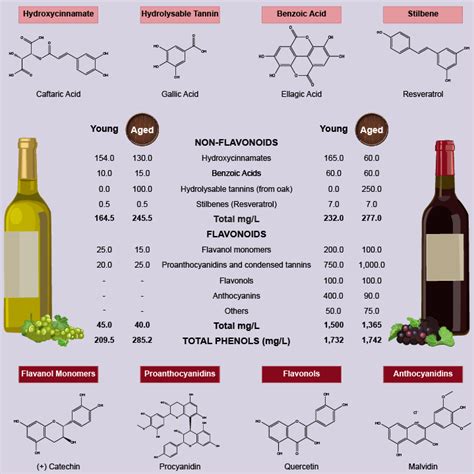 The beneficial effects of wine polyphenols on Alzheimer’s disease ...