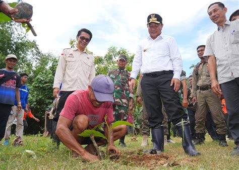 Dukungan Terus Berdatangan Ke Pj Gubernur Sulsel Meyerukan Tanam Pohon