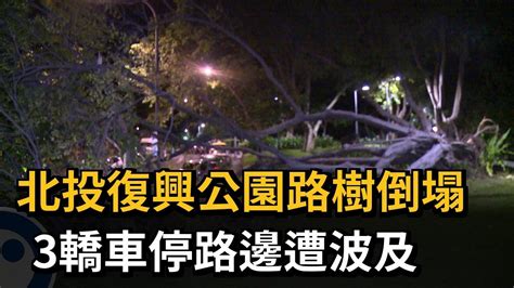 北投復興公園路樹倒塌 3轎車停路邊遭波及－民視新聞 Youtube