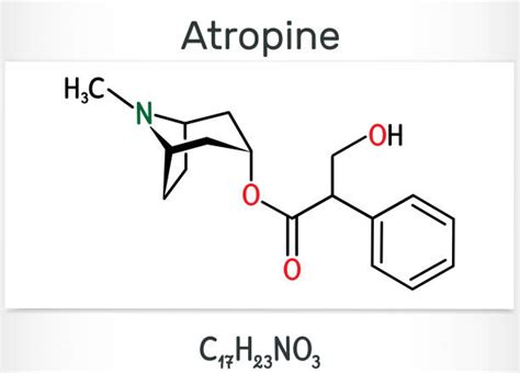 Atropin Bilder Und Stockfotos Istock