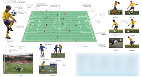 Der Fu Ball Soccer Diagram Quizlet