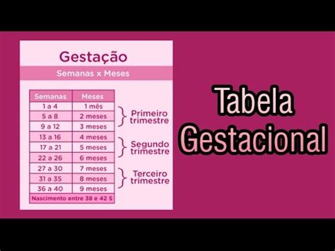 Tabela Gestacional Meses E Semanas De Gravidez YouTube