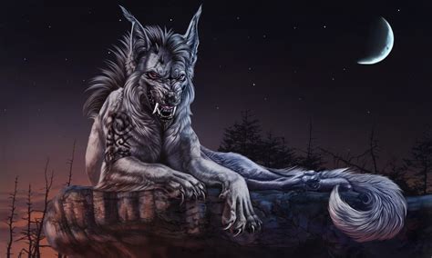 Monsters Werewolf Night Roar Hd Phone Wallpaper Rare Gallery