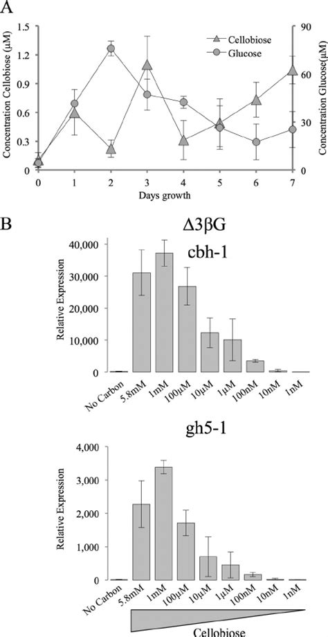 Concentration Of Glucose And Cellobiose In Wt Cultures And The Effect