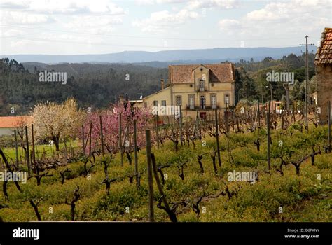 Buildings And Landscapes Portugal Stock Photo Alamy