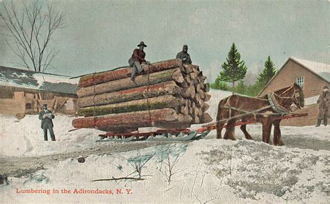 Adirondacks Ny Lumbering Horse Drawn Sled Logging Postcard United