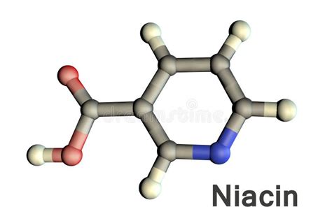 Niacin And Niacinamide Skeletal Formula Vector Illustration