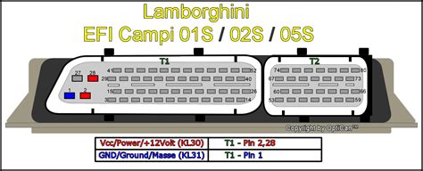 EFI CAMPI 0xS Lamborghini OBD Technik Wiki