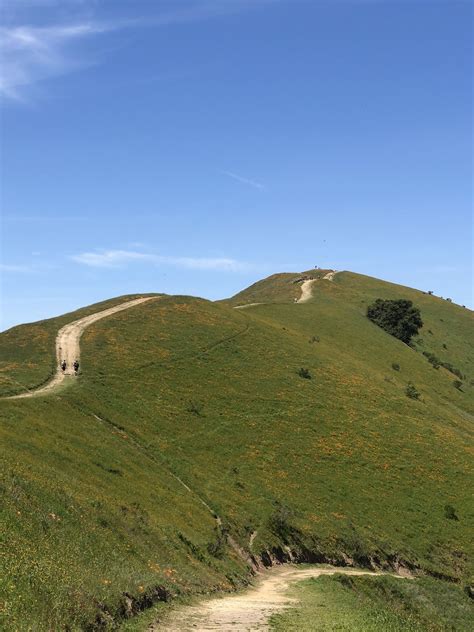 Rocky Ridge View And Elderberry Loop Trail Closed California