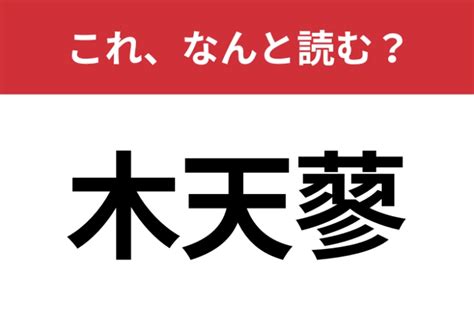 【木天蓼】はなんと読む？四文字で読みます！ ファッションメディア Andgirl アンドガール