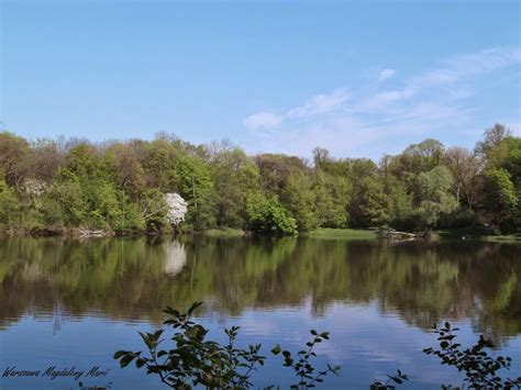 Warszawa Magdaleny Marii Park Skaryszewski Wiosną