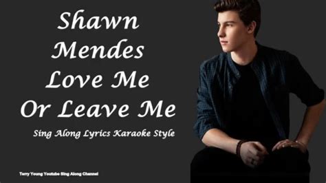 Shawn Mendes Love Me Or Leave Me Sing Along Lyrics