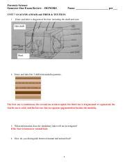 Forensics Unit Analysis Of Hair And Fiber Pdf Forensic Science