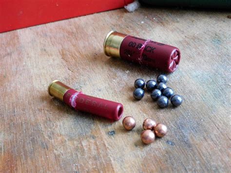 The 410 Shotgun For Self Defense A Primer The Mag Life