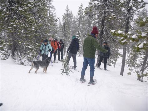 Surely You Can T Be Serious Naked Snowshoeing