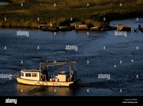 Louisiana Wetlands Stock Photo - Alamy