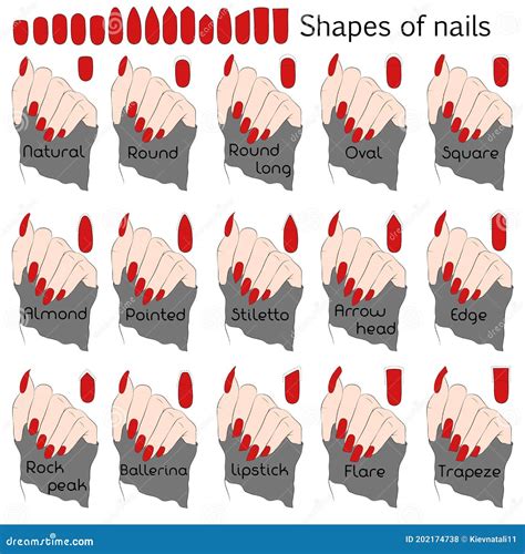 Formas Das Unhas Ilustração A Preto E Branco Para Manicura