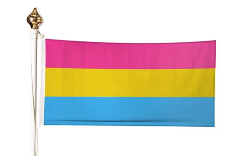 Lgbtq Pride Flags And Their Meanings Flagmakers