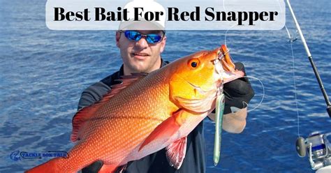 Best Bait For Red Snapper Effective Tips And Techniques