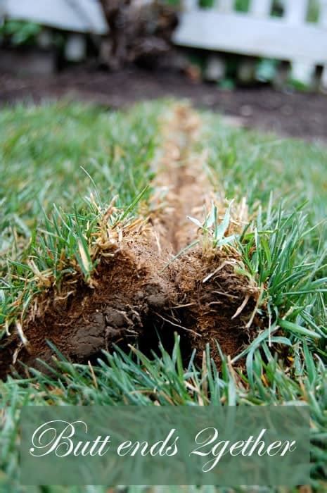 How To Lay Sod At Home Laying Sod