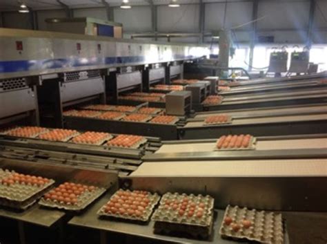 Afbeelding5 Dutch Poultry Technology