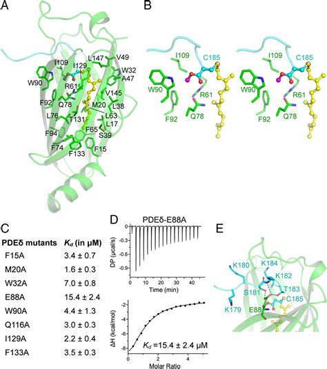 Structural Basis Of Recognition Of Farnesylated And Methylated KRAS4b