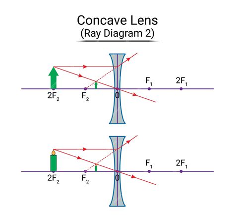 Diagrama De Rayos De Lentes Cóncavos 2 Vector Premium