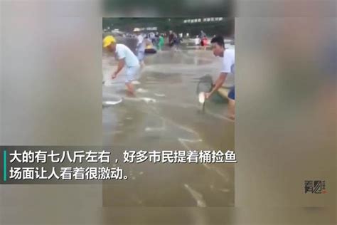 重庆暴雨积水，市民马路上抓鱼，大的有七八斤让人激动