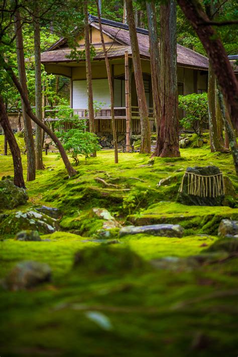 Kyoto's Moss Temple: Steve Jobs' Favorite Place in Japan - Travel Caffeine