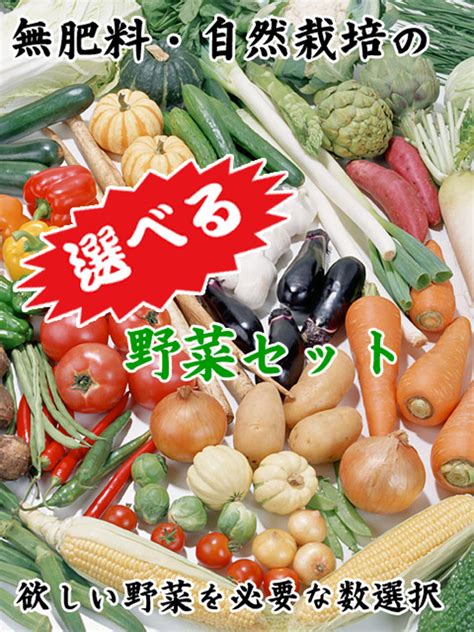 パプリカな 自然栽培の野菜詰め合わせ 10〜12品目 自然栽培 野菜 旬 セット 詰め合わせ 神栖市 茨城県 送料無料：茨城県神栖市 パプリカな