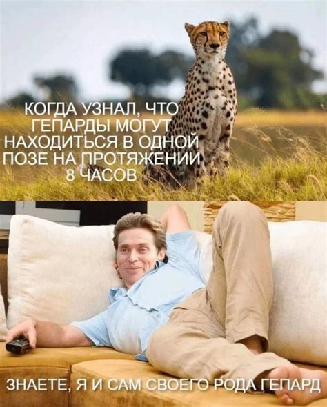 Прикольные картинки с надписями - смешные до слез
