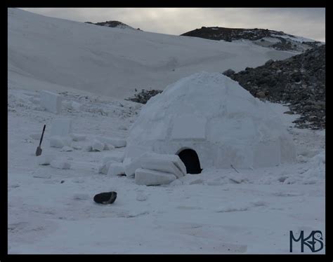 Greenland - Prices - Traveling Rockhopper