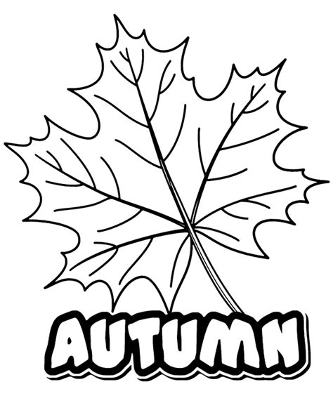 Coloring sheet autumn sign and leaf