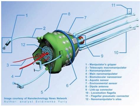 Parts Of Nano Robot 84 Download Scientific Diagram