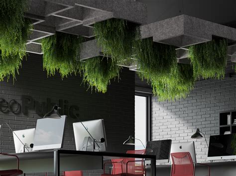 tree top csi creative