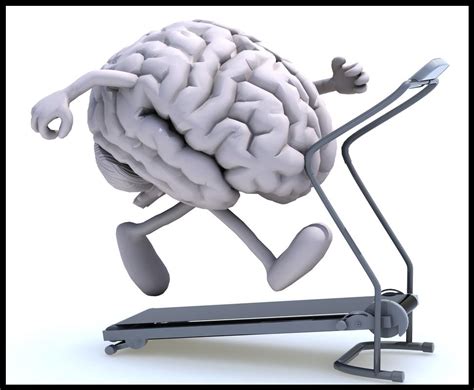 Ejercicios físicos para activar el cerebro BLOG Utel