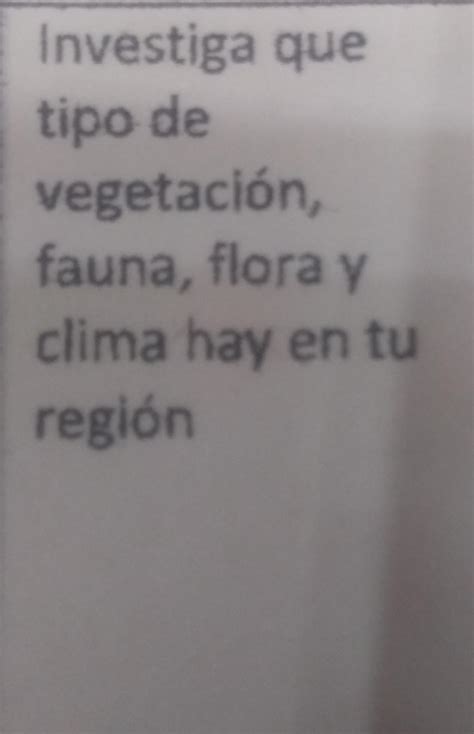 Qué tipo de vegetación fauna flora y clima hay en nuestra región