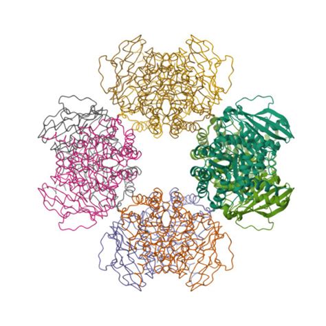 RCSB PDB 2CXE Crystal Structure Of Octameric Ribulose 1 5