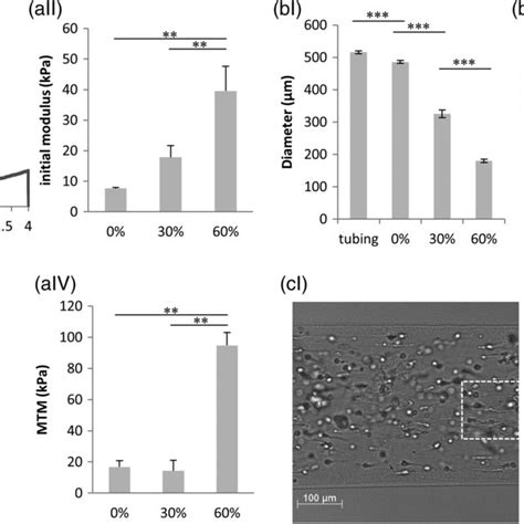 Effects Of Fiber Stretching On The Mechanical Properties And Cell