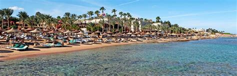 Hotel Tamra Beach Sharm Egipt Sharm El Sheikh Na Wakacje Pl