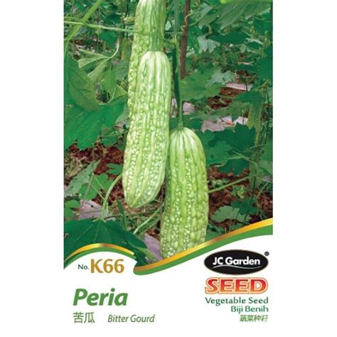 HMC K66 BITTER GOURD PERIA JC GARDEN VEGETABLE SEED GARDENING PLANTING