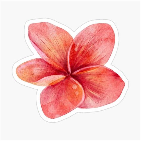 Plumeria Tropical Flower Sticker For Sale By LiLDesignerSho Nature