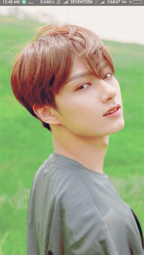 Wen Jun Hui | Wiki | Carat 캐럿 Amino