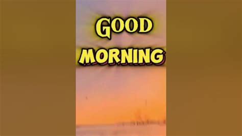 Good Morning 🌅🌄🌅 Viral Shots Video Shorts Video Goodmorning Youtube